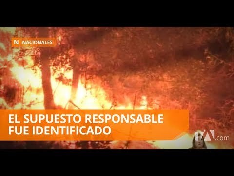 Incendio forestal consumió varias hectáreas en “El Trébol” - Teleamazonas