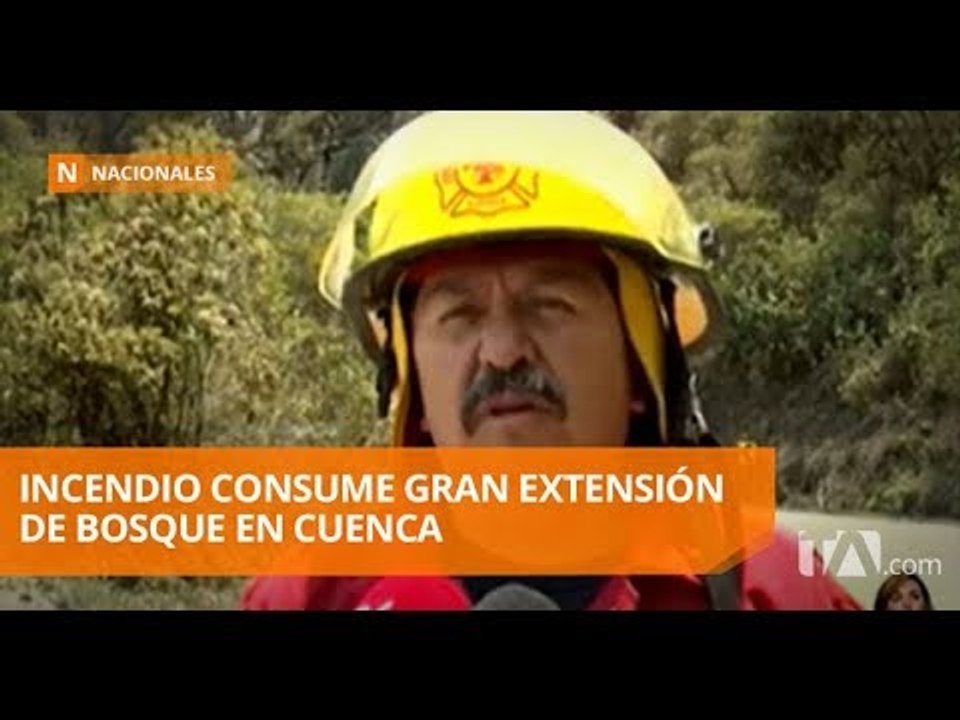 800 hectáreas de bosque, consumidas tras incendio forestal - Teleamazonas