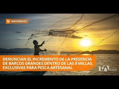 Pescadores denuncian presencia de barcos grandes en zonas de pesca artesanal - Teleamazonas