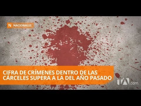Trece asesinatos en las cárceles en lo que va del año - Teleamazonas
