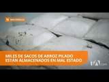 Hongos, insectos y heces de animales se encuentran miles de sacas de arroz - Teleamazonas