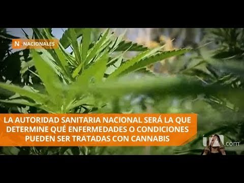 Aprobado el Libro II del Código de Salud en Comisión Legislativa - Teleamazonas