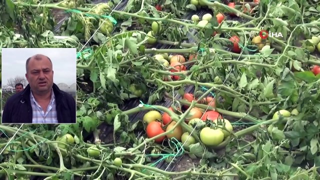 Fethiye ve Seydikemer'de Fırtına Seraları Uçurdu