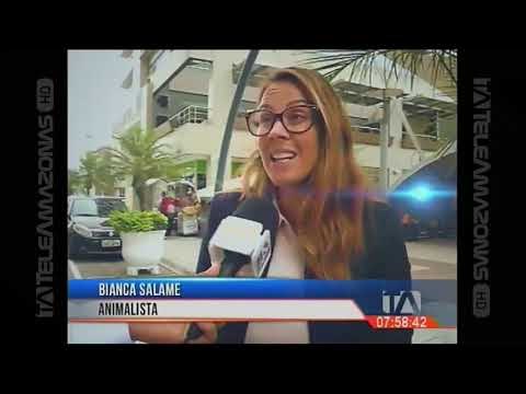 Sujeto mató a machetazos a dos perros