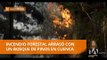 Un incendio forestal arrasó con un bosque de pinos en Cuenca -Teleamazonas