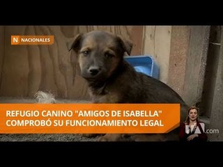 下载视频: Refugio canino 