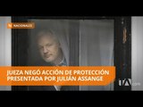 Procuraduría: Ecuador ha velado por los derechos de Julián Assange - Teleamazonas