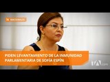 Juez pide el levantamiento de la inmunidad parlamentaria de Sofía Espín -Teleamazonas