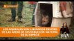 Animales silvestres rescatados y rehabilitados fueron liberados - Teleamazonas