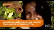 Realizan nueva búsqueda de restos de Juliana Campoverde - Teleamazonas