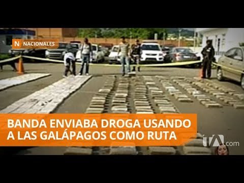 Desarticulan banda de narcotráfico en operativo binacional - Teleamazonas