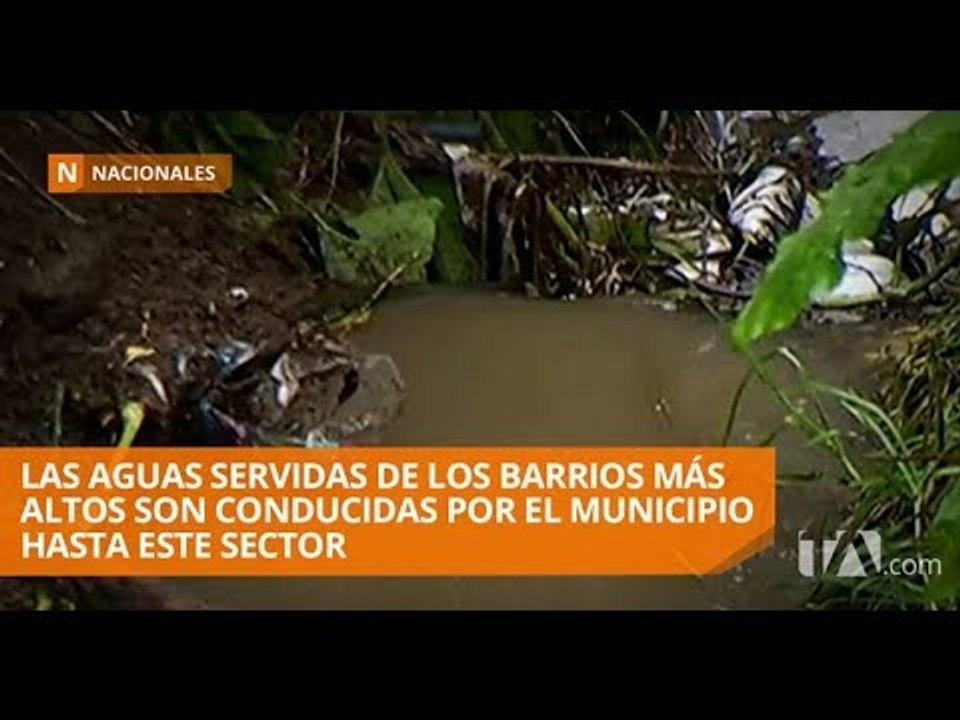 En Llano Chico se está formando una quebrada y cada vez es más grande - Teleamazonas