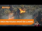 Más de 100 hectáreas de pajonal fueron consumidas por incendio - Teleamazonas