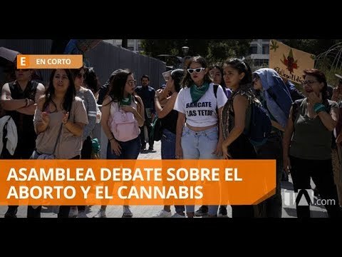 Despenalización del aborto en casos de violación, en debate en la Asamblea - Teleamazonas