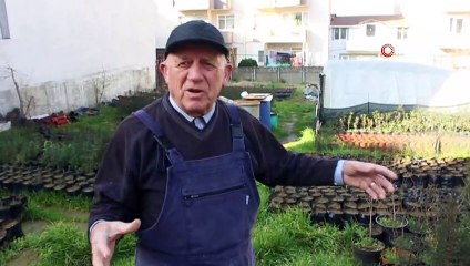 Emekli vatandaş, Bandırma’nın fidan ihtiyacını karşılıyor