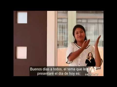 Jóvenes con discapacidad auditiva crean el primer canal inclusivo -Teleamazonas