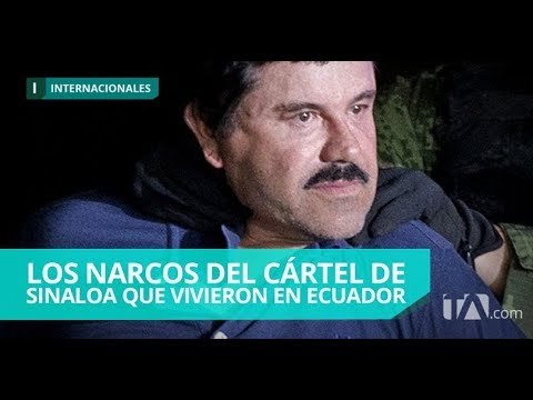 Los últimos argumentos de la defensa en favor de El Chapo - Teleamazonas