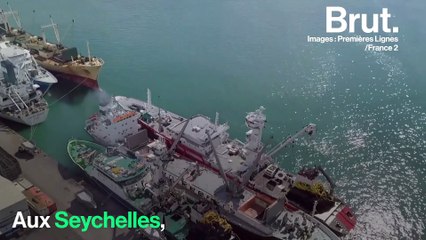 Pêche : les DCP menacent l'écosystème marin