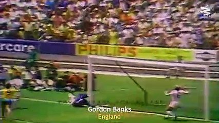 15+ World Cup Saves That Shocked The World