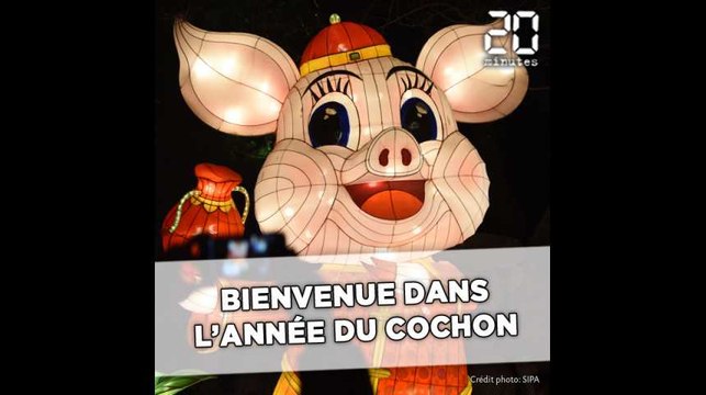 Nouvel an chinois: Bienvenue dans l'année du cochon