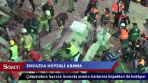 Çöken binanın enkazında köpekli arama