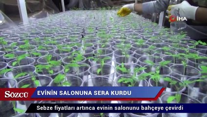 Sebze fiyatlarına kızdı evinin salonunu bahçeye çevirdi