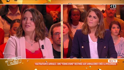 Vidéo choc : un élevage de rongeurs destiné aux animaleries fait scandale