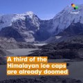 A Third Of The Himalayan Ice Caps Are Already Doomed