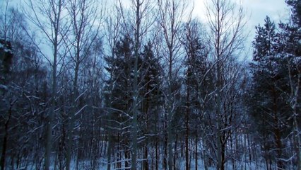 Jan 29 2019 DL1