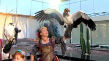 Game of Birds at the Arizona Renaissance Festival
