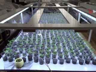 Sebze meyve fiyatlarına böyle isyan etti