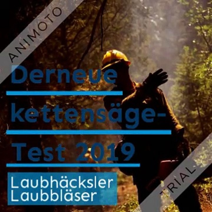 Kettensäge-Test_2019_271208507_360x360_F15