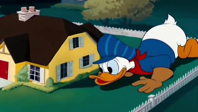 ᴴᴰ Donald Duck & Chip and Dale Cartoon Disney Pluto, Minnie Mouse, Mickey Mouse, Bee