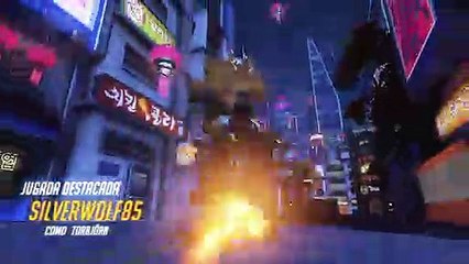 Overwatch Año Lunar del Cerdo 41