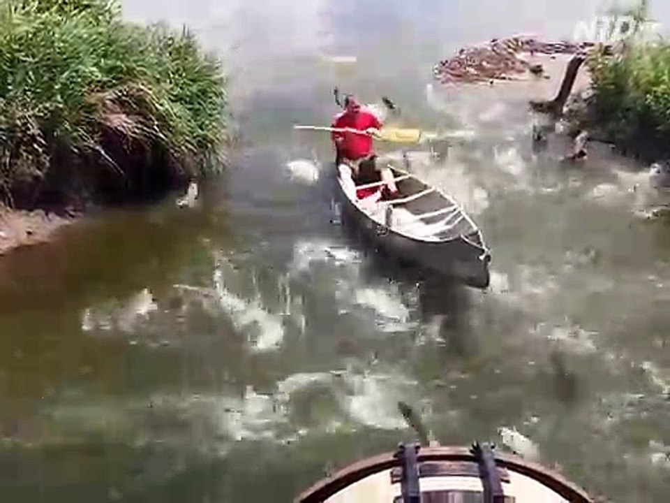 Des centaines de poissons se jettent dans son bateau... peche miraculeuse