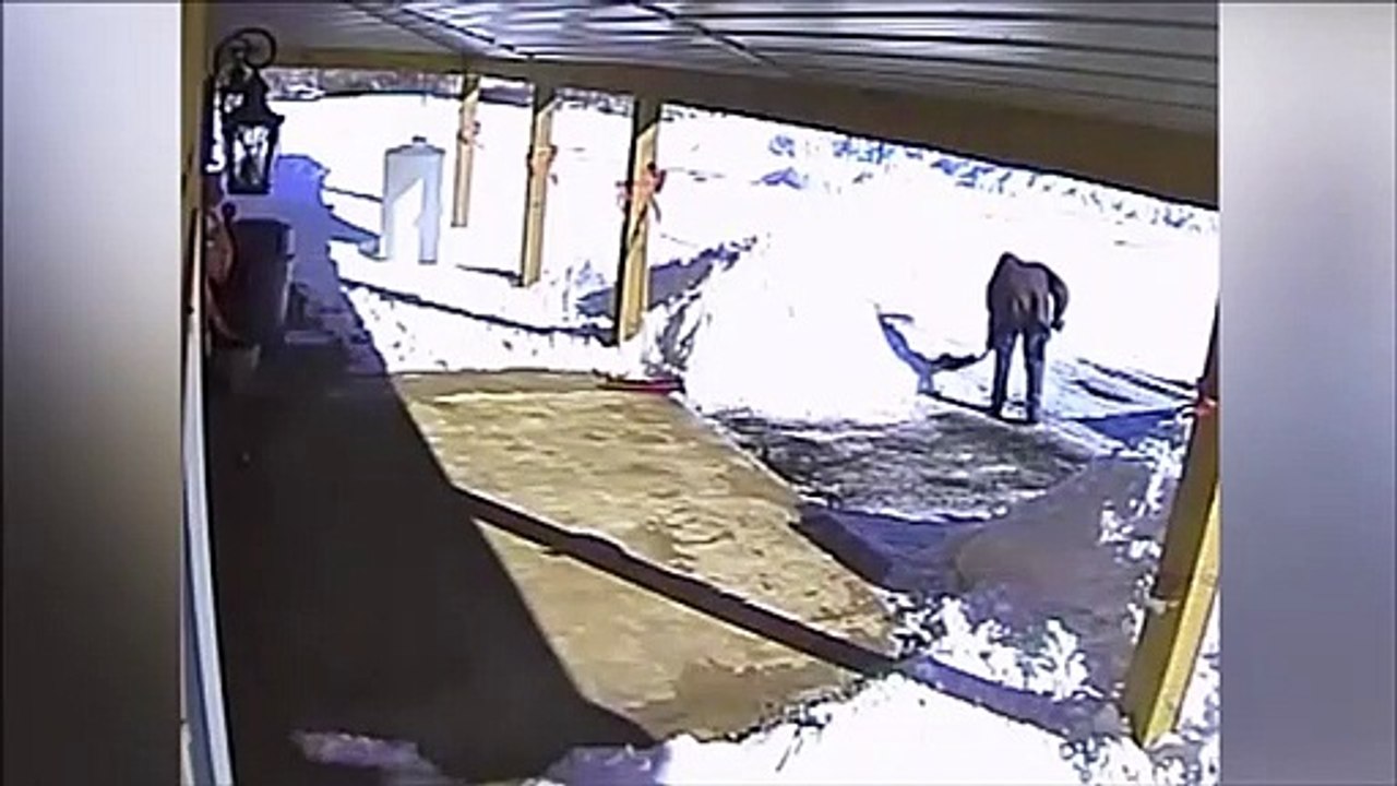 Quand tu viens de pelleter la neige et que tu dois tout recommencer