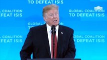 Trump Expects To Have 100% Of ISIS Caliphate In A Week