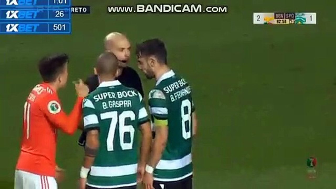 video-1549493256