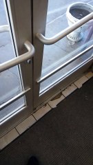 Crane Shopping at the Convenience Store