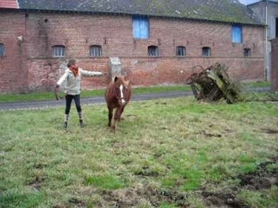 Poupouille qui saute =)