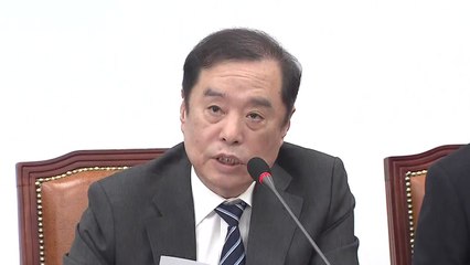 한국당 전당대회 연기 여부 내일 확정 / YTN