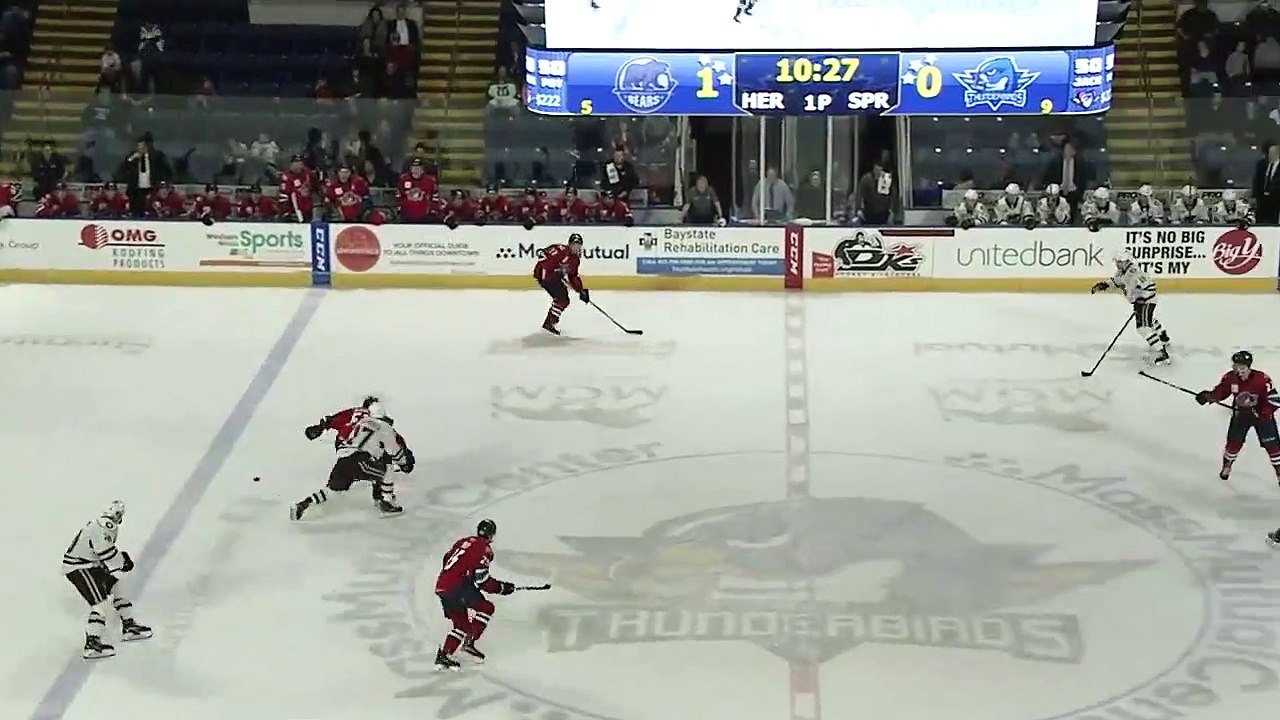 02.06.19 Springfield Thunderbirds vs Hershey Bears