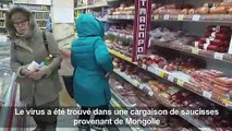 Sibérie: le virus de la peste porcine détecté dans des saucisses