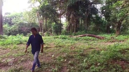 Bhorer Haowa | Soumya Bose | Nazrul Geeti