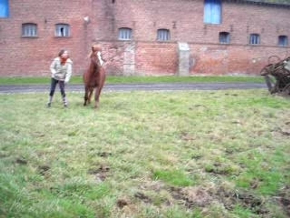 Salto , pas pour rien que c'est son nom.