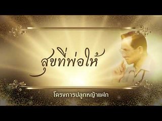สุขที่พ่อให้ ตอน โครงการปลูกหญ้าแฝก