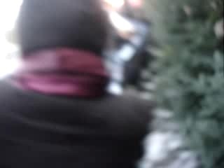 Alpenexpress europa park