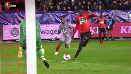 8eCDF. Stade Rennais F.C. / Lille : résumé