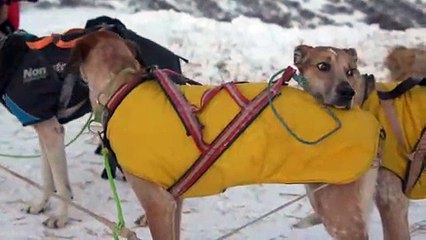 Les Belles Images du Dimanche 20 janvier à Val Cenis