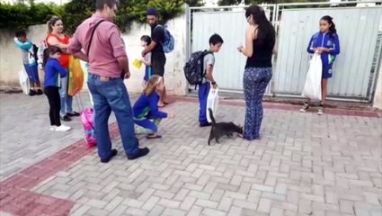Volta às aulas: ação educativa da Cettrans é realizada no Coqueiral